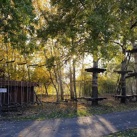 Woodland